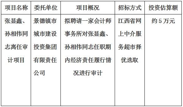 張顯鑫、孫相偉同志離任審計項目計劃公告