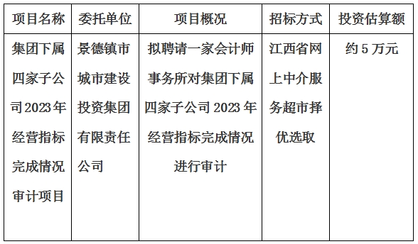 集團(tuán)下屬四家子公司2023年經(jīng)營指標(biāo)完成情況審計(jì)項(xiàng)目計(jì)劃公告