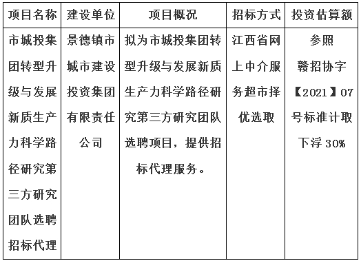 市城投集團轉型升級與發(fā)展新質生產力科學路徑研究第三方研究團隊選聘招標代理計劃公告