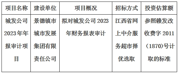 城發(fā)公司2023年年報(bào)審計(jì)項(xiàng)目計(jì)劃公告