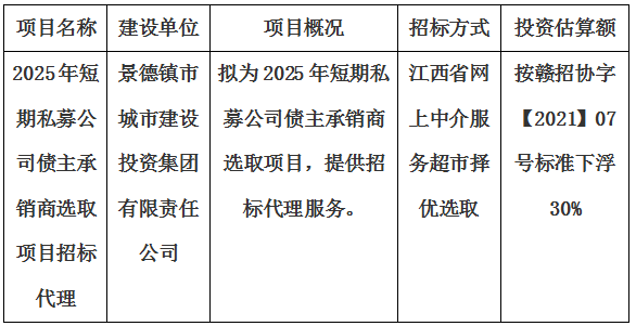 2025年短期私募公司債主承銷商選取項(xiàng)目招標(biāo)代理計劃公告